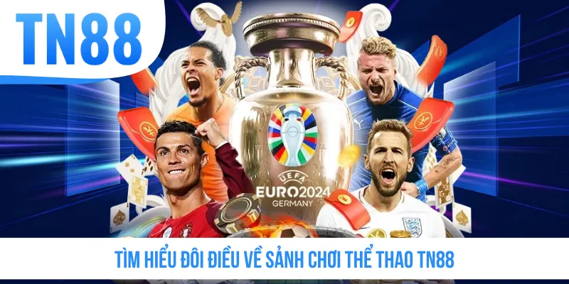 Tìm hiểu đôi điều về sảnh chơi thể thao TN88